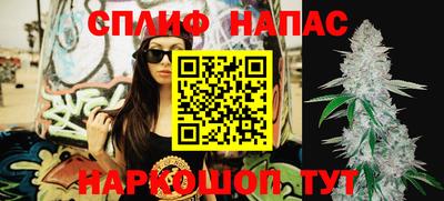прущие грибы Балаково