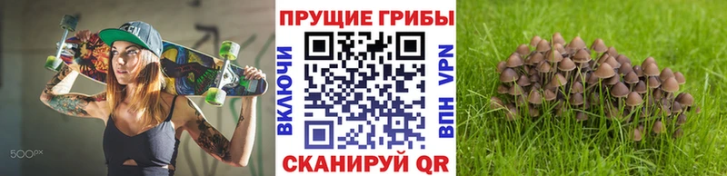 как найти наркотики  Гусь-Хрустальный  Псилоцибиновые грибы мухоморы 