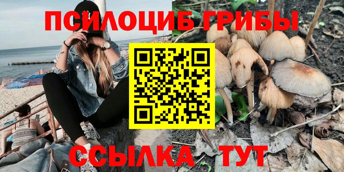 Галлюциногенные грибы мухоморы Гусь-Хрустальный